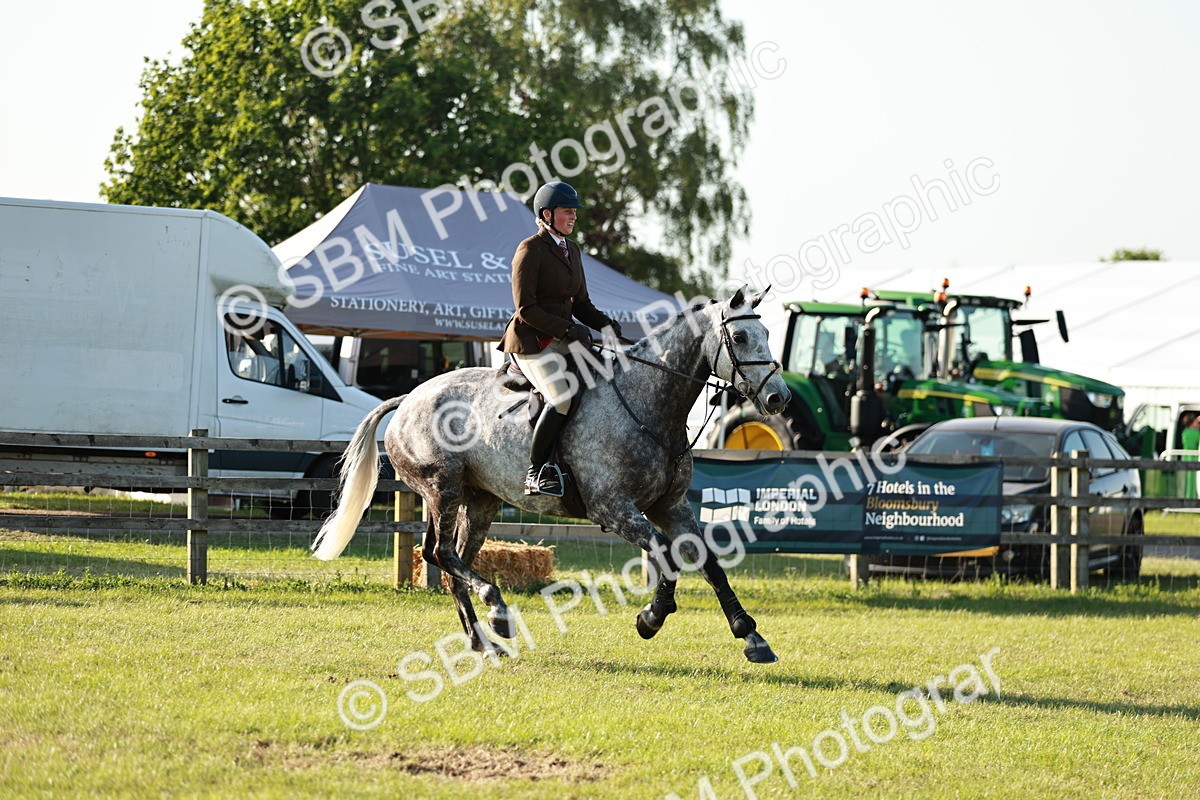 SBM_20348 - Class 117-119 - Sport Horse Working Hunter