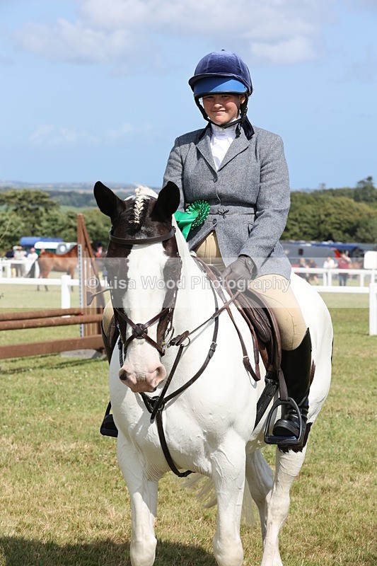 JPP_2462 - Class 19: Working Hunter 60cm