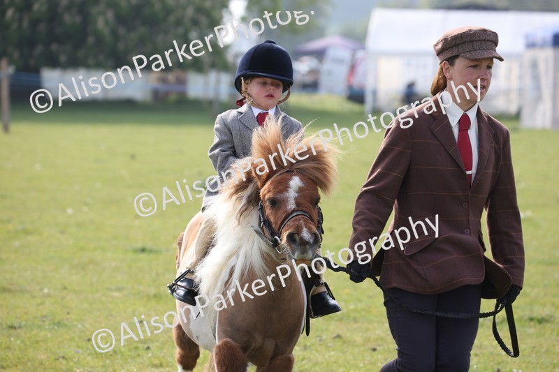 20260426-0323 - Class 30 - Tiny Tots Lead Rein