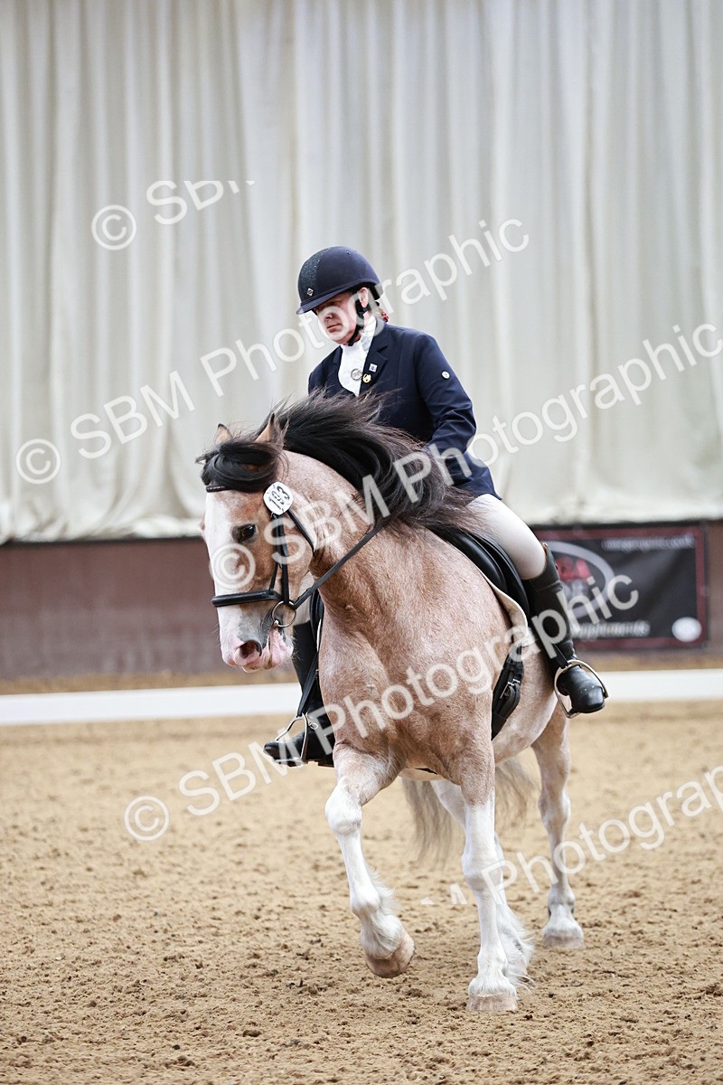 SBM_014233 - Class 7 - Ele FSM Bronze 12.12.13.08