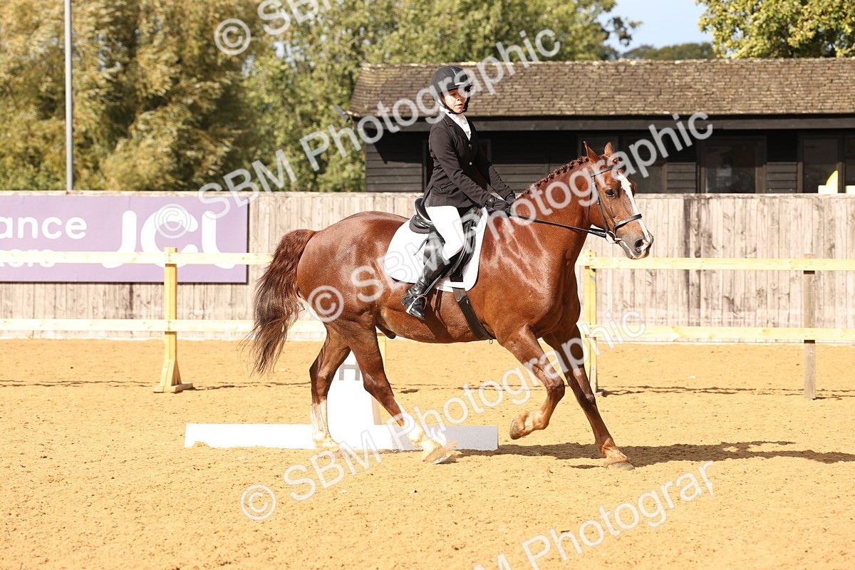 SBM_10601 - D9 - Small Tour Championship Prelim 3