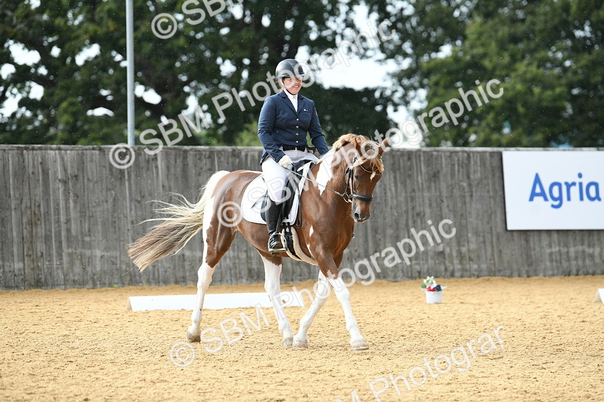 SBM_11091 - D28 Elementary Taster Elementary 42