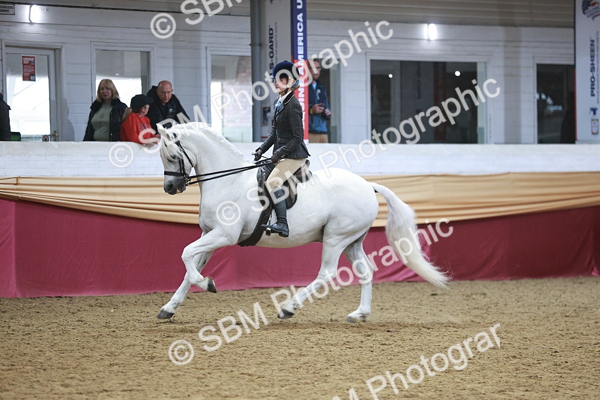 SBM_08900 - Class 12R - Regional Ridden Pre-Vet