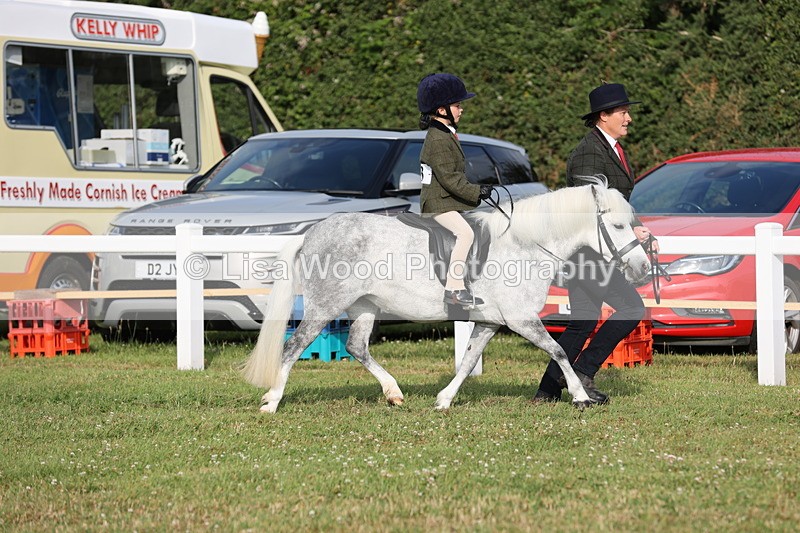 JPP_0182 - Class 14: Cornish Combination Leading Rein