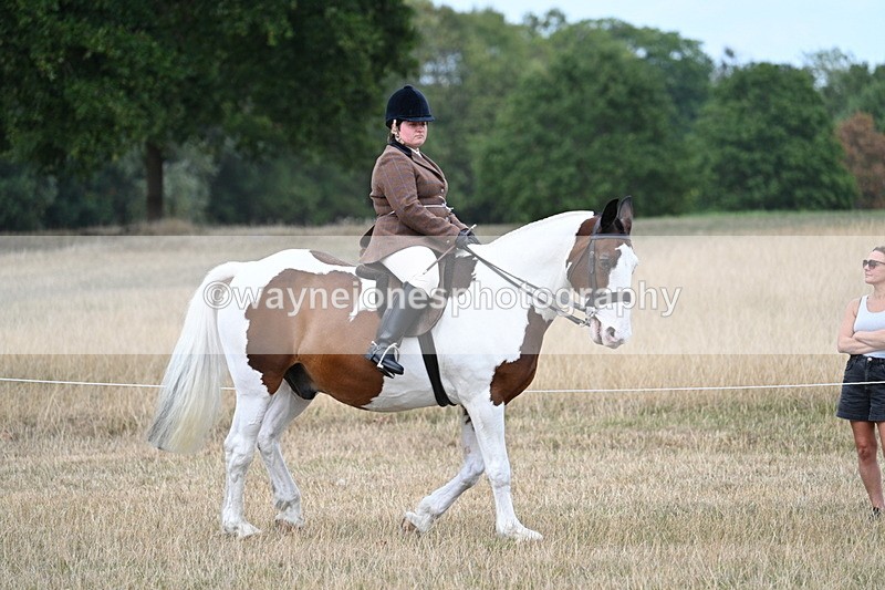 WJ7_5402 - Class 12 Ridden Cob