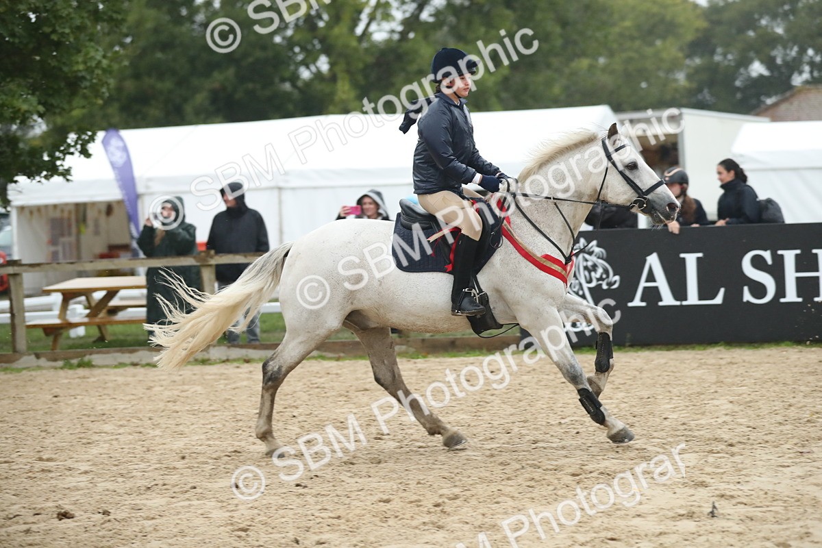 SBM_74344 - Supreme championship Junior Pony 70cm 75cm