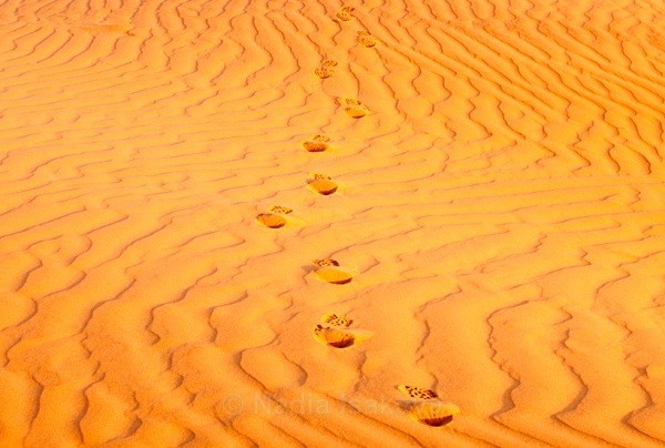  - Namibia