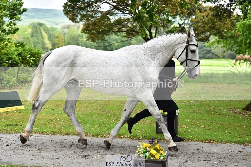 240522-155258-00555 - 111-FATHERS_COMPROMISE-Finn_Healy