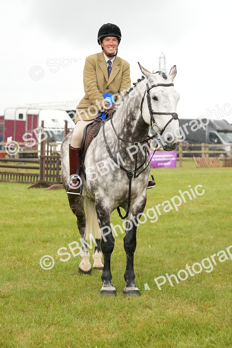 SBM_12802 - Class 97-98 - LIHS BSHA Rising Star Working Show Horse Hunter