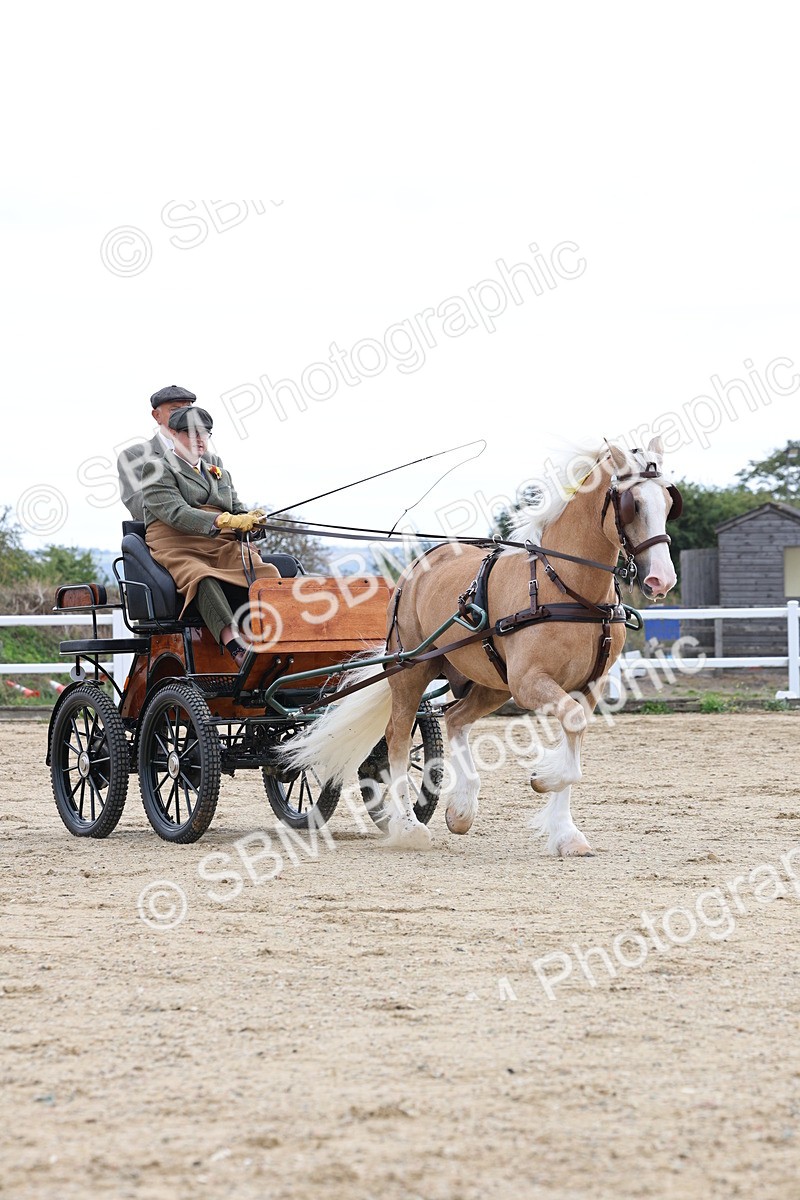 SBM_000767 - Class 6 - Exercise Vehicle 13.2 and over