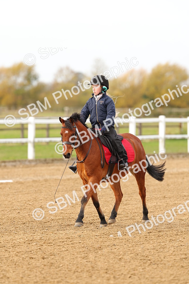 SBM_000243 - Class 2-11 - CT Intro 3 60cm - DR Intro 3