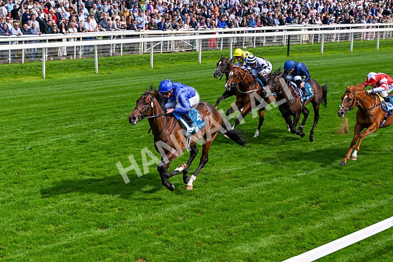 130626-Race 5-Inner City Blues-1794 - Race 5 16.15pm Tomahawk Restaurants Supporting Macmillan EBF Maiden Stakes