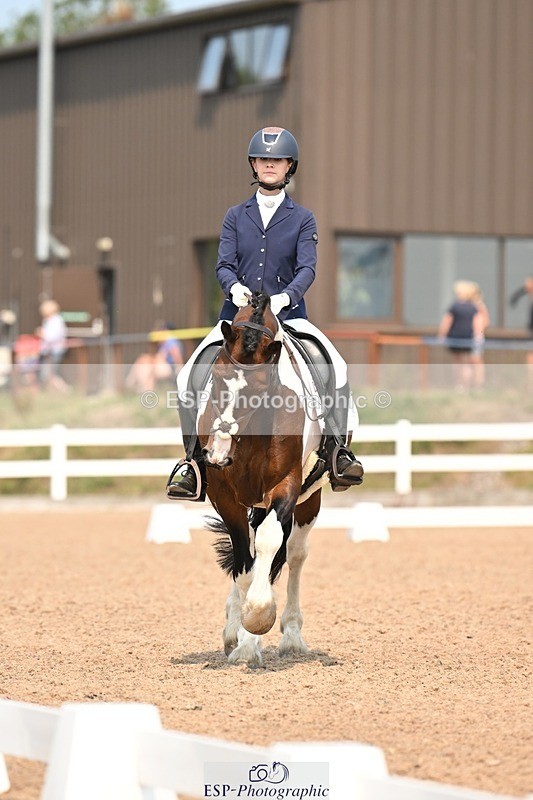 250816-140713-05017 - 050-Mollie.SheathTouch.Wood