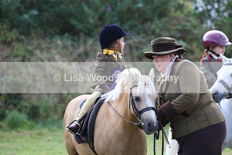 3E7A3800 - Class 2: Lead rein