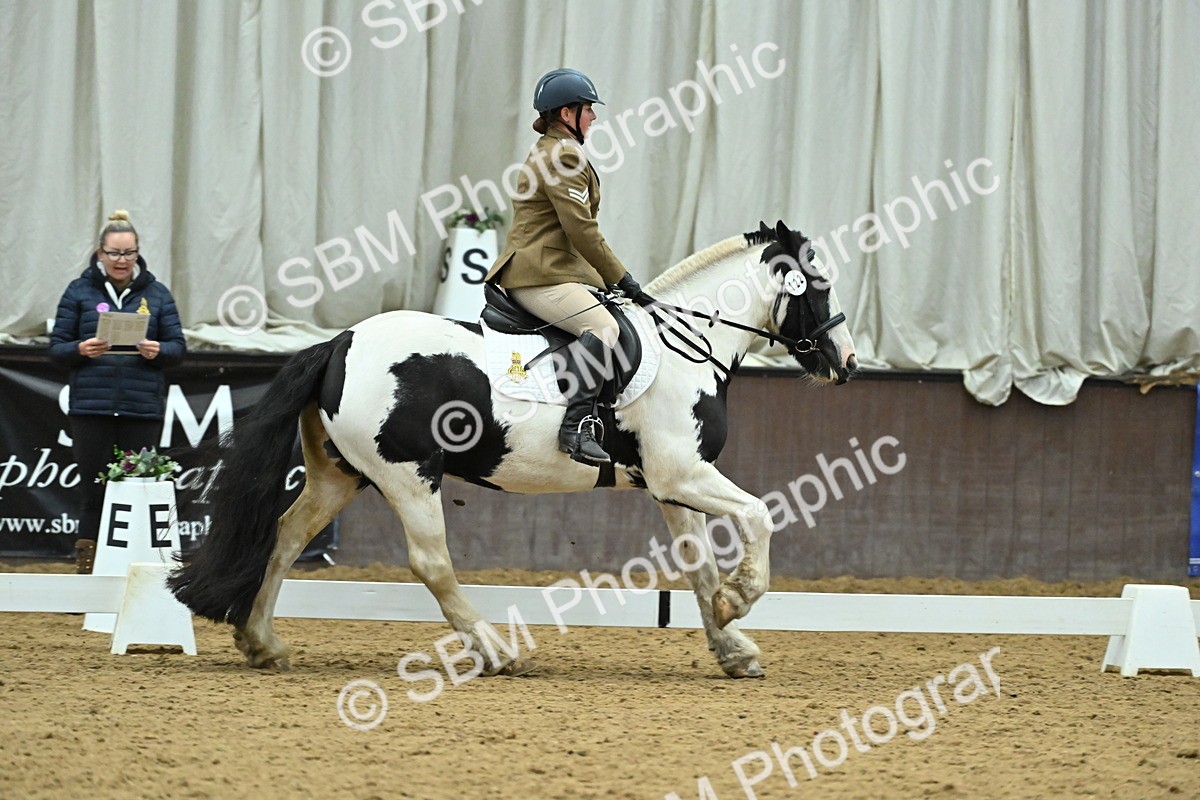 SBM_007385 - Class 81 - Novice 3