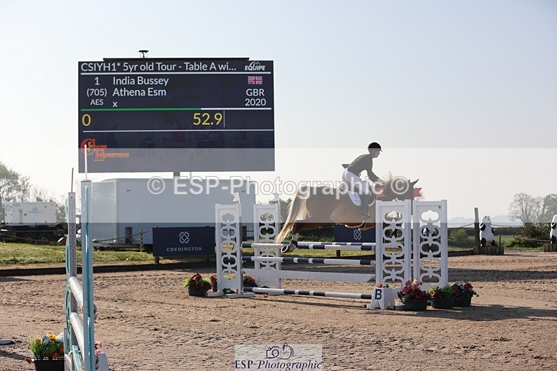 250427-083043-14501 - Cls 28 Young Horse 5yr old