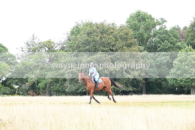 DSC_7626 - Time at Statue 13:16 to 13:52