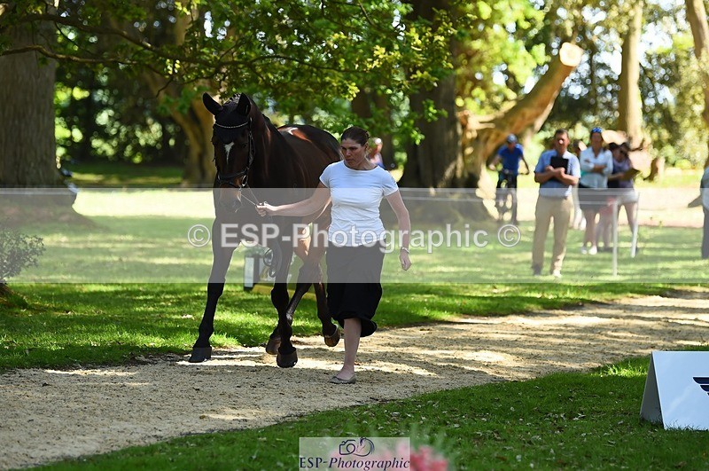 230524-153138-00327 - 353-THE_RIPPER-Bundy_Philpott-WEDTrotUp+DR