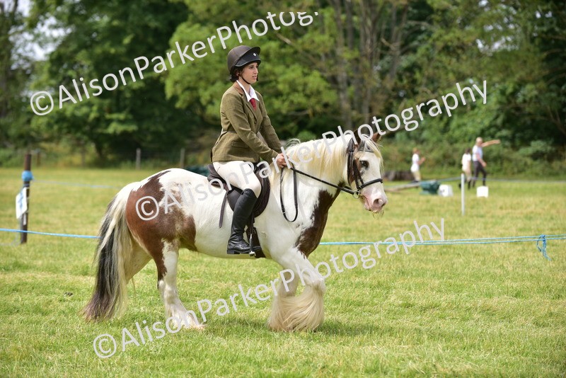 20260614-3978 - Class 16 - Handsome Gelding