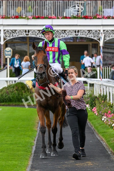260725-Race 6-Billyb-0835 - Race 6 4.25pm Sky Bet Go-Racing-In-Yorkshire Summer Festival Handicap