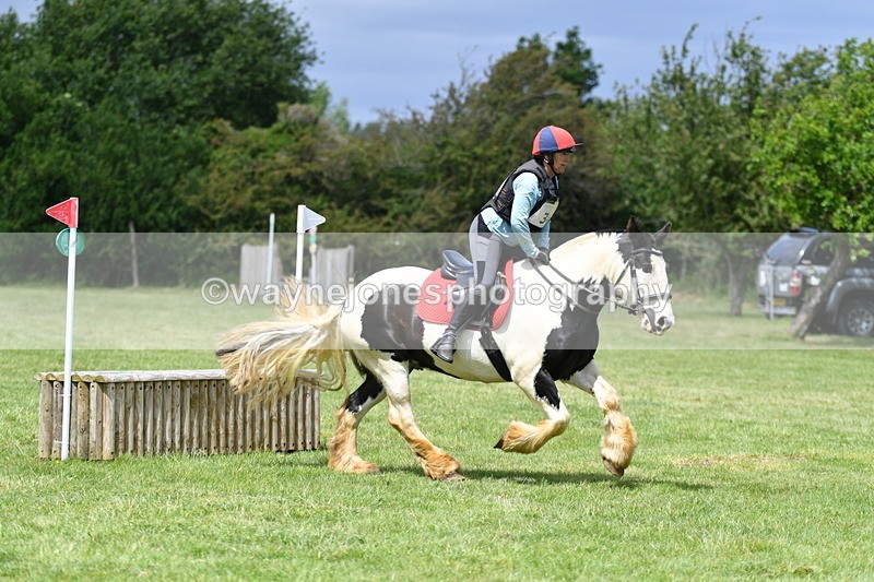 WJ5_3348 - Class 4 60cm