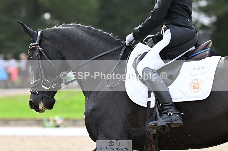 231019-144611-04276 - 056-WILLOW.BDA-Lisa.Maynard-DR