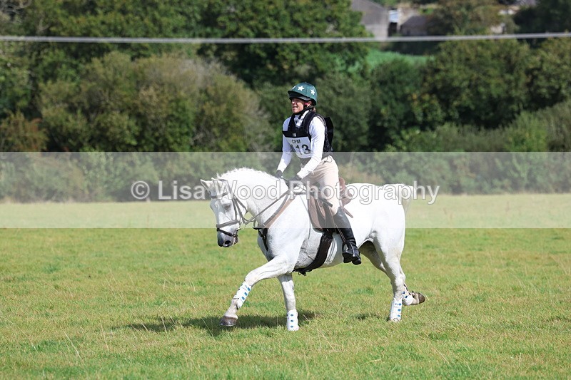 3E7A6581 - Class 1: Trebudannon Open: Pheasant Feeder