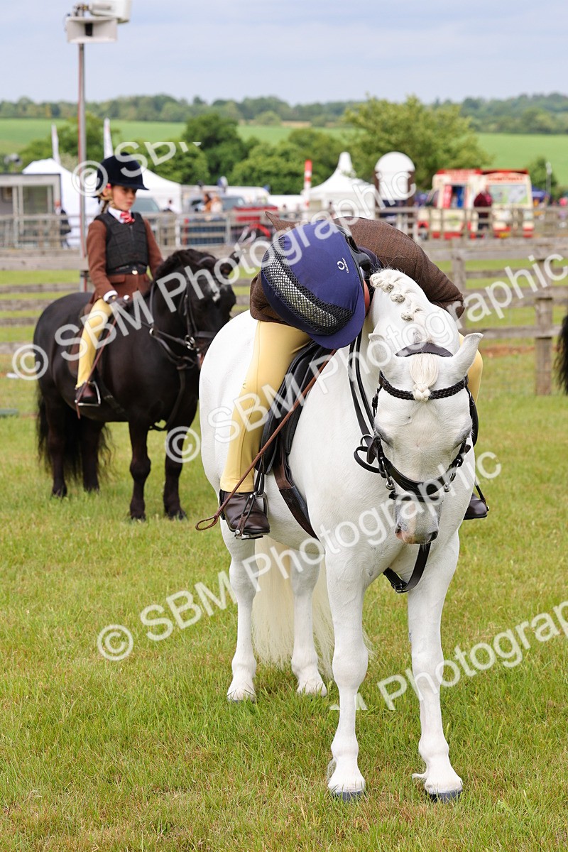 SBM_09631 - Class 44-45 - LIHS BSPS Open Nursery and Cradle Stakes