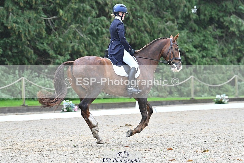 231019-114131-02219 - 110-MARTINS.IRISH.EDDIE-Allegra.Cowley-DR
