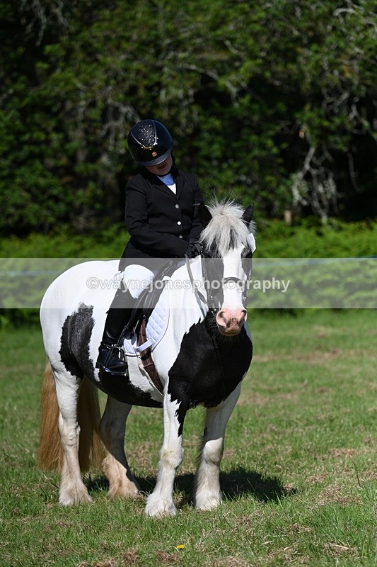 WJ7_0435 - Class 8 First Rally Pony