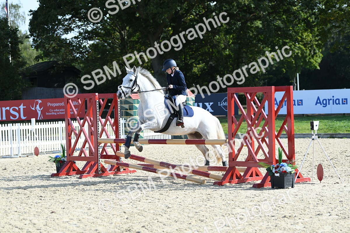 SBM_61637 - j25 - Junior Horse 80cm Championship