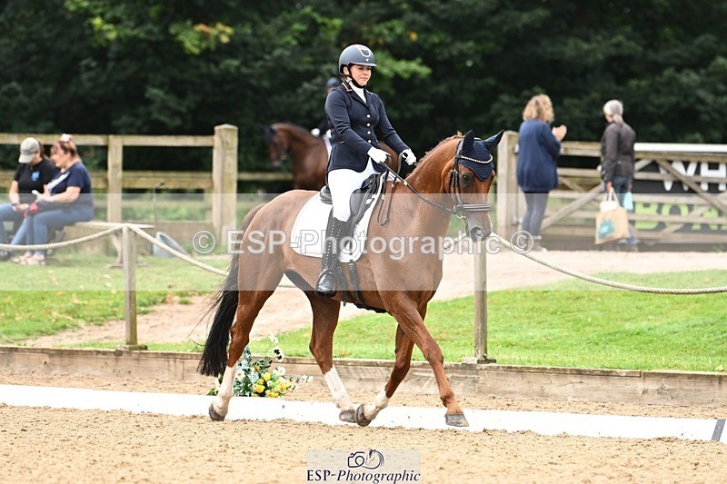 240811-101906-04988 - 110-Helen.Kitto-Da.Vinci.IV