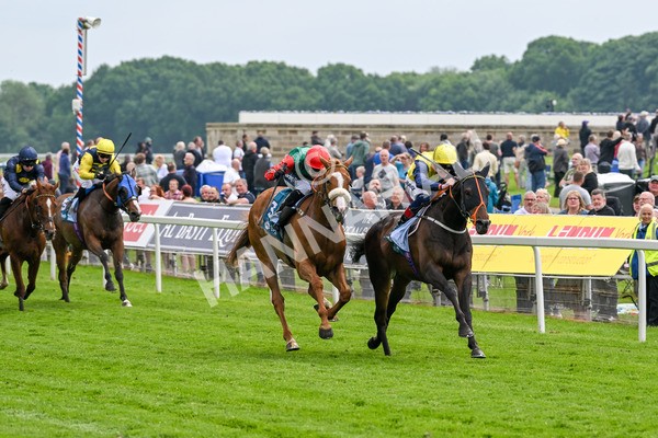 160524-Race 2-Point Lynas-5417 - Race 2 2.45pm Oakmere Homes Hambleton Handicap