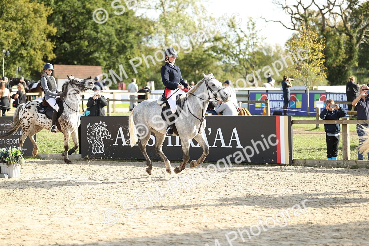 SBM_49686 - J22 - Junior Horse 65cm Championship
