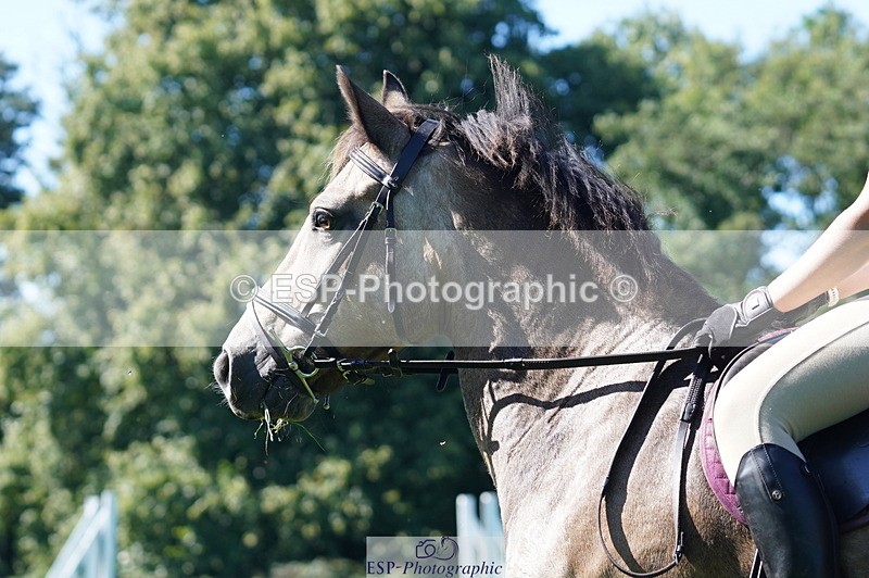 240811A-155808-06135 - 405-