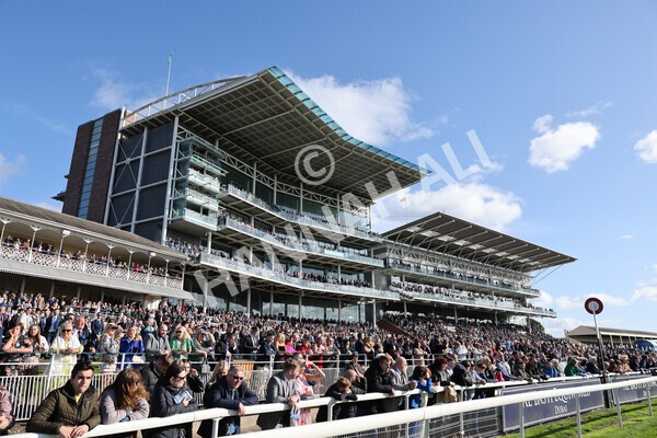 yr08102022r3-28 - Race 3 2.40pm The Coral 'Beaten-by-a-Length' Free Bet Handicap