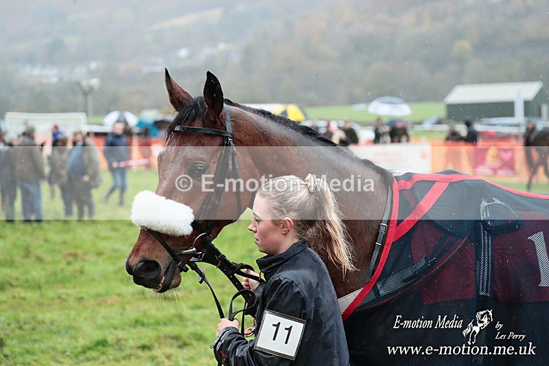 PtP 091125  0264 - Point-to-Point Wales Area Club Lower Machen, Gwent 09/11/25