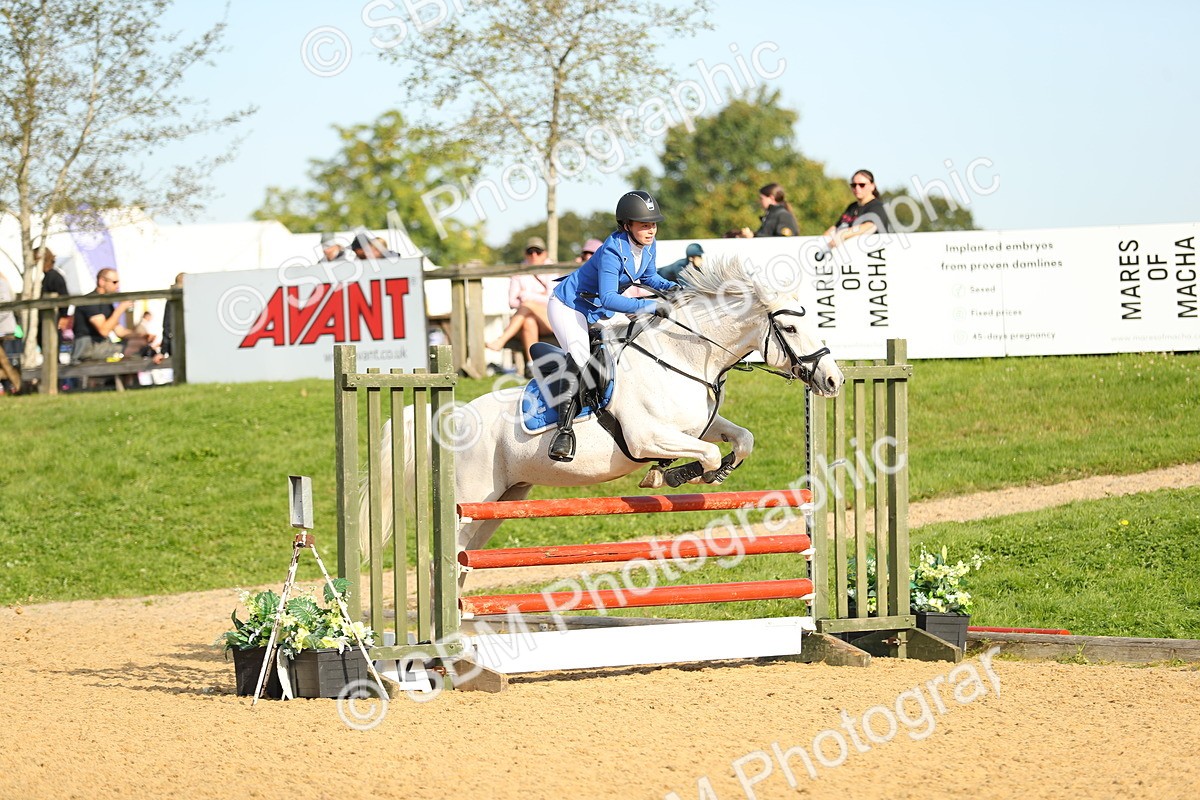 SBM_60332 - J41 - Grand Tour 95cm Championship