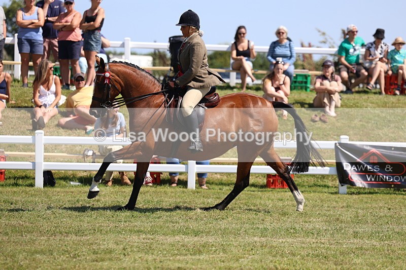 3E7A7573 - Rising Star Ridden Championship