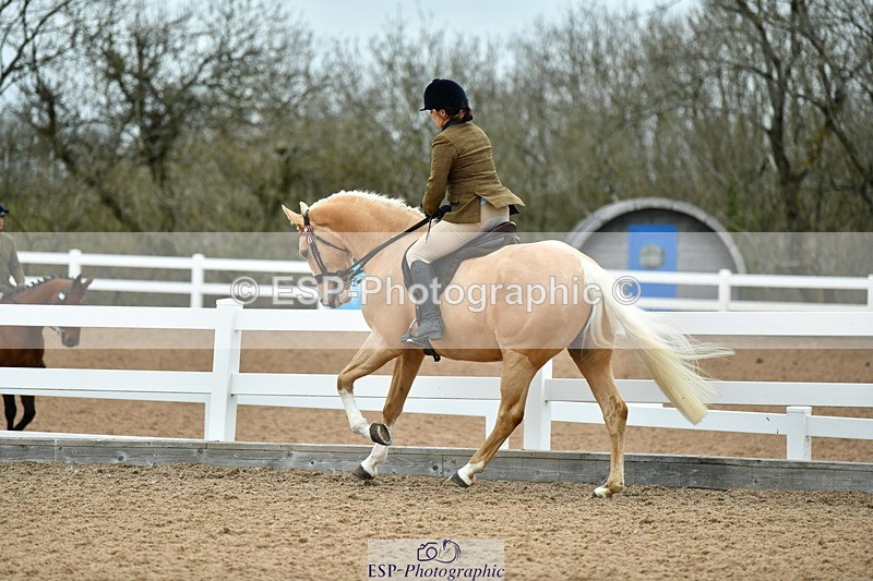 230416A-134309-04923 - Cls 60 Ridden Show Horse