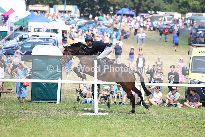 3E7A2880 - Class 7: Senior British Novice/90cm open