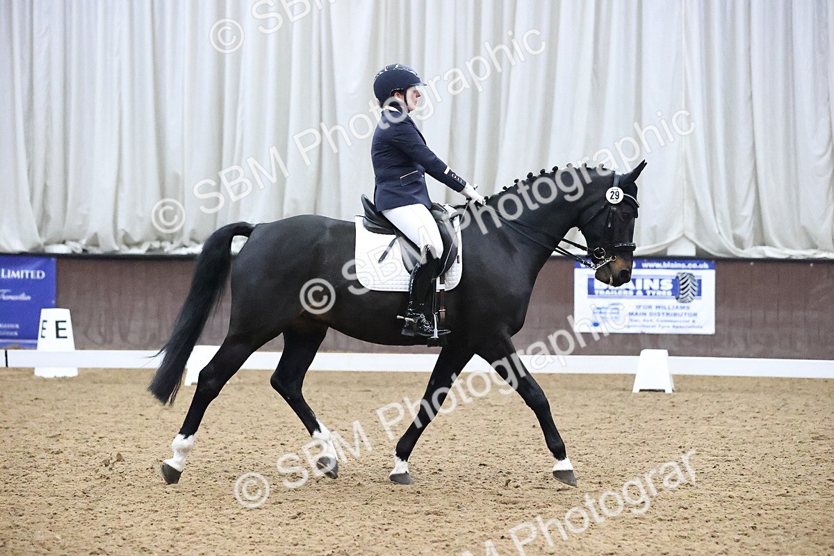 SBM_004183 - Class 7 - Medium 4