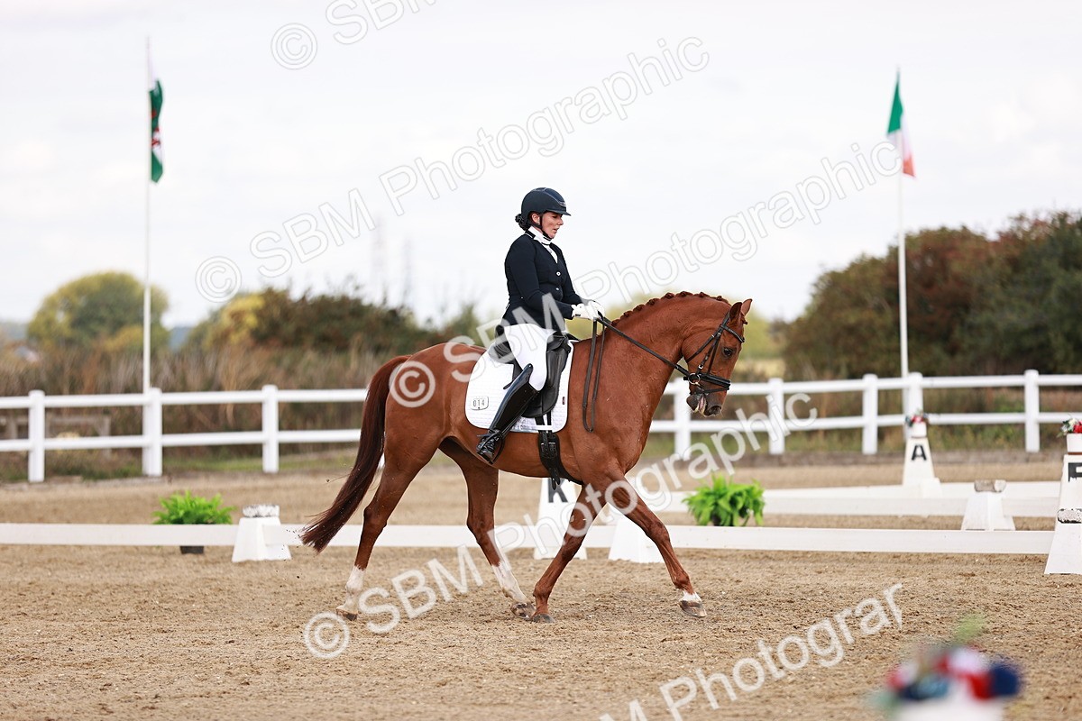 SBM_017675 - Class 11 - Advanced Medium 6