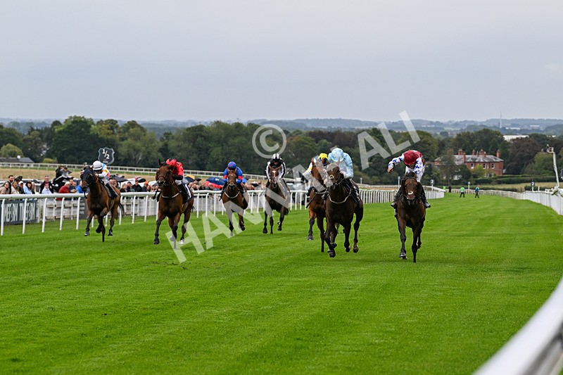 290826-Race 3-Fans Favourite-6445 - Race 3 2.55pm Dearing Plastics Celebrating 40 Years Handicap