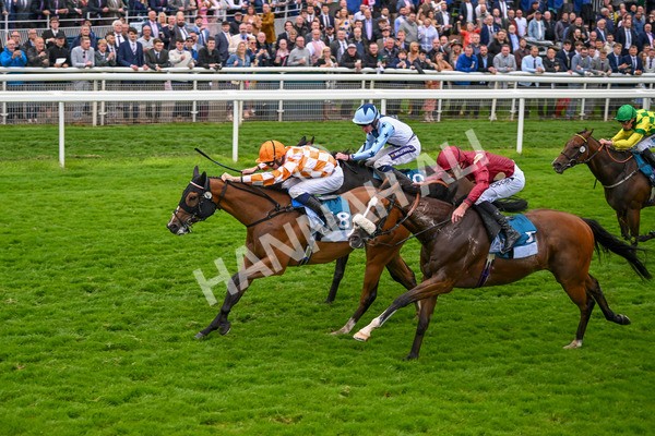 130724-Race 7-Ray Vonn-7919 - Race 7 5.25pm John Smith's Sprint Handicap