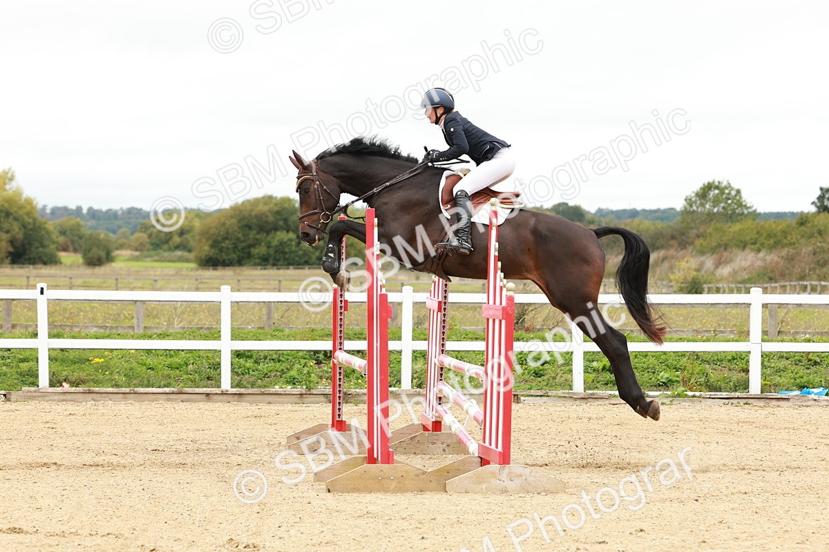 1I0A6833 - Class 2 - Senior British Novice