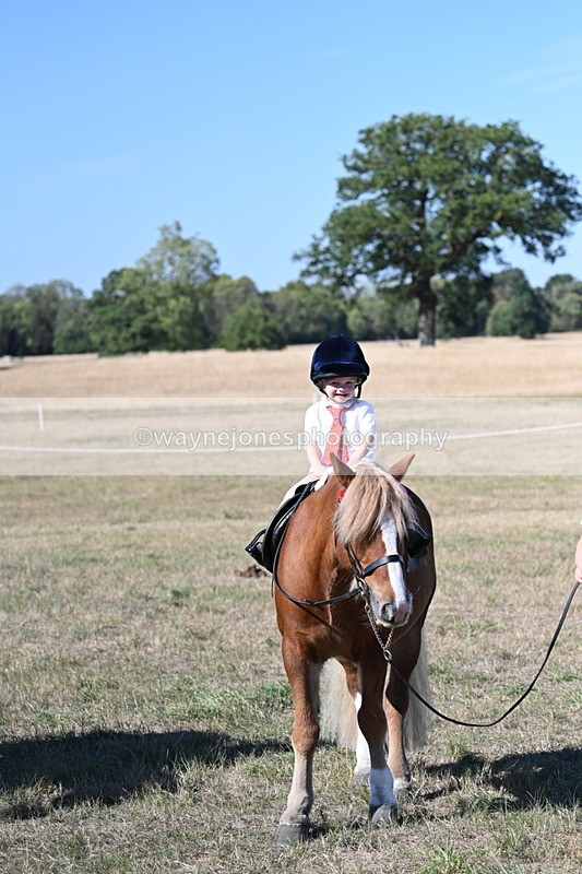 WJ7_2171 - Class 44 Child's Best Friend