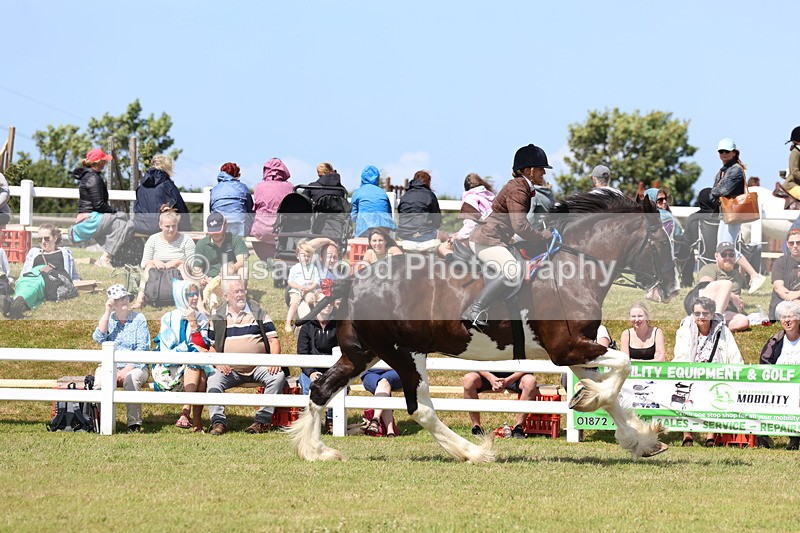 3E7A2905 - Class 13: Heavy Horse Ridden