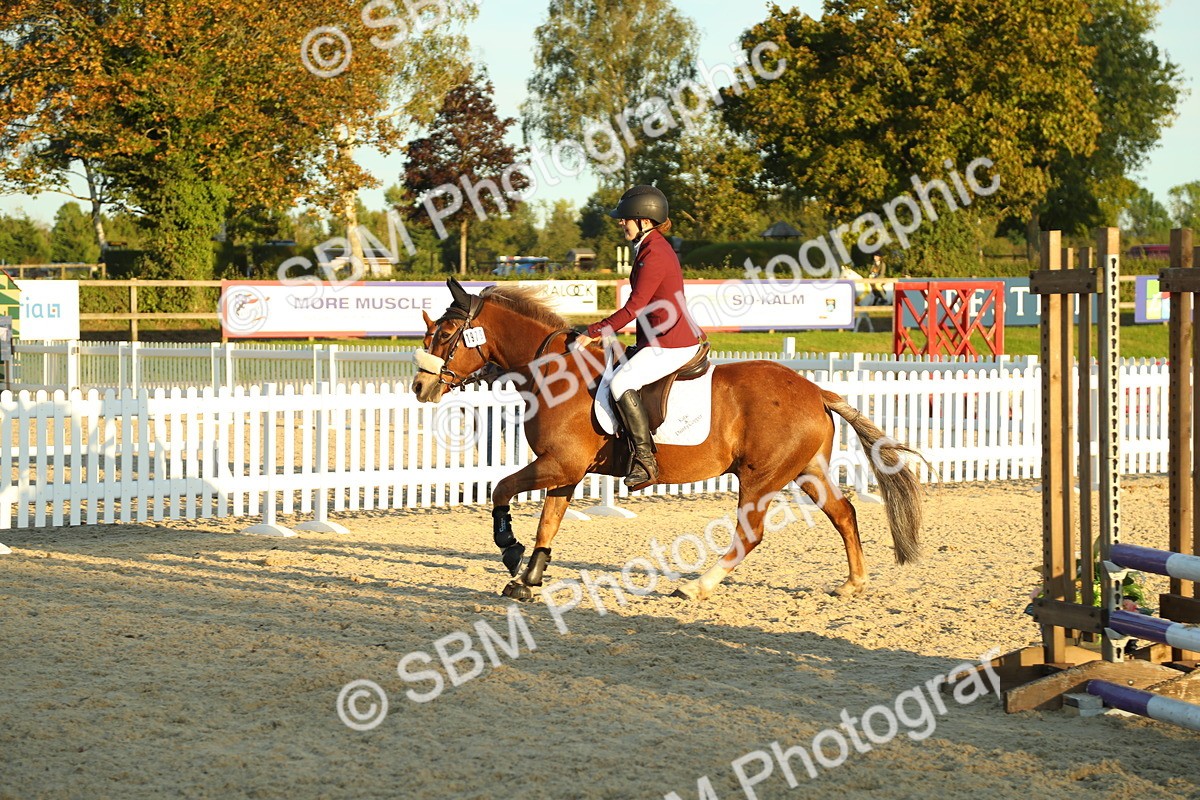 SBM_53959 - J8 - Junior Pony 65cm Championship