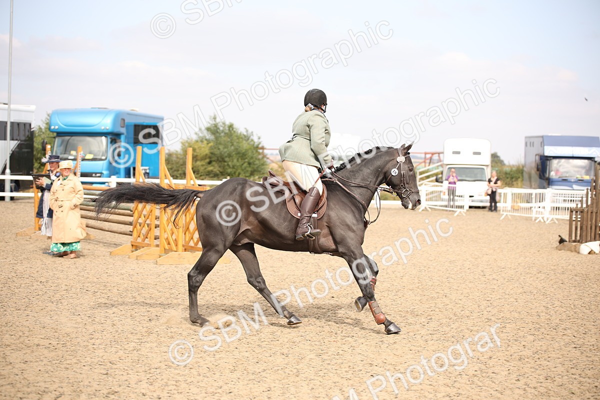 SBM_16133 - Class 409a - Working Veteran 80cm (15-19)